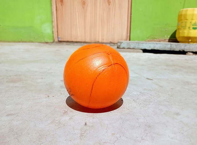 与萧秉治的