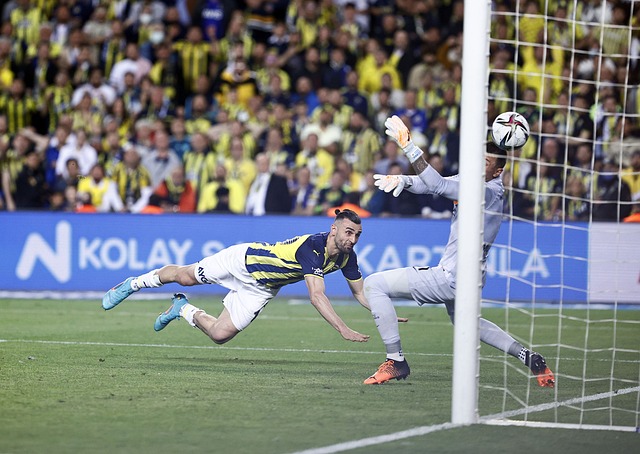 引新的观众 引新的观众