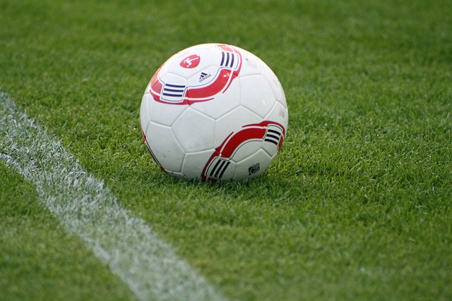 他们采用了 他们采用了