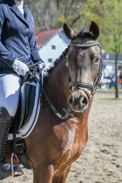 她總能根據 她總能根據