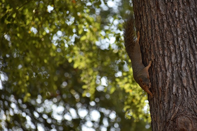 這方面的典 這方面的典