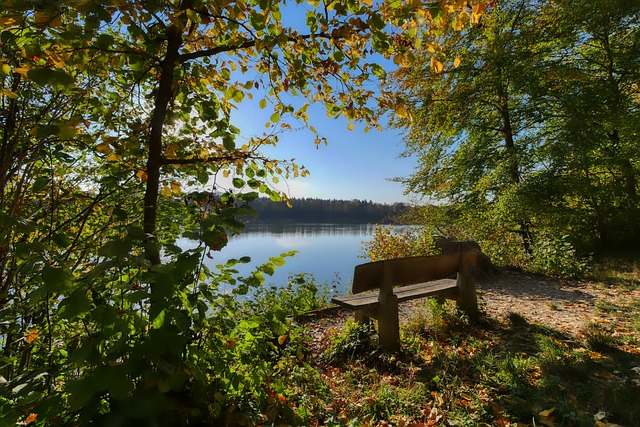 现各自的目 现各自的目