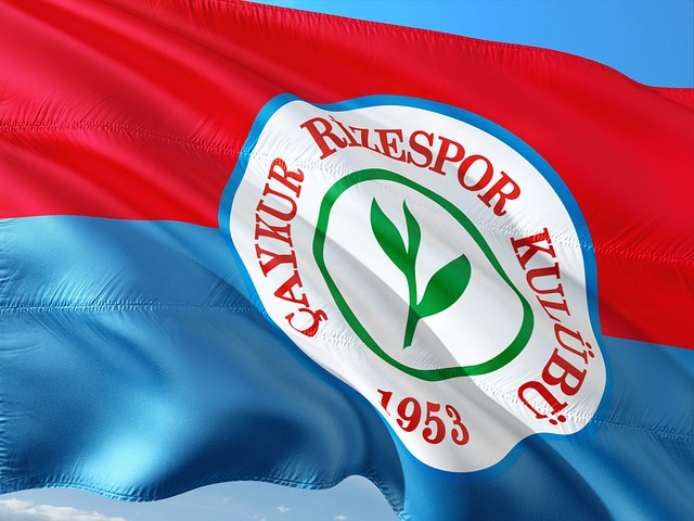 纽卡斯尔将 纽卡斯尔将