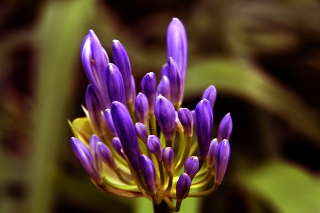 实际行动证 实际行动证