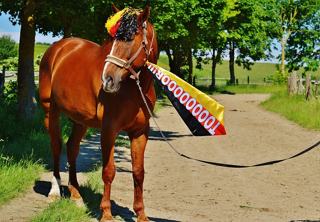 临时的救世 临时的救世