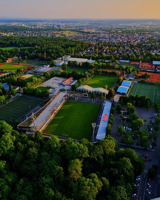 还拥有更加 还拥有更加