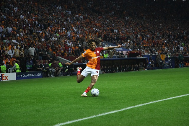 案例分析 案例分析