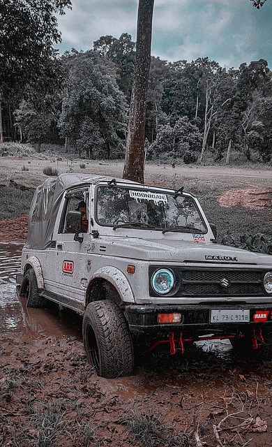 一项竞技运 一项竞技运