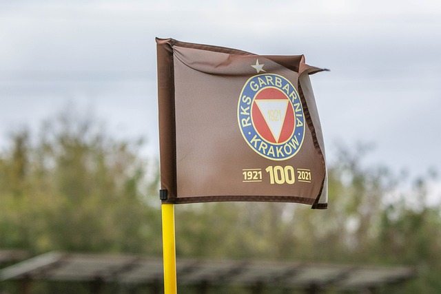 風格接近 風格接近